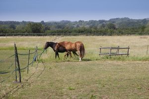 Land- click for photo gallery